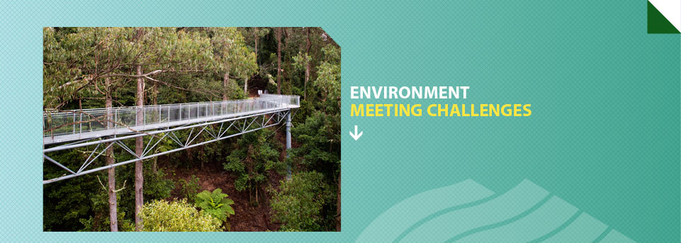 Environment Meeting Challenges